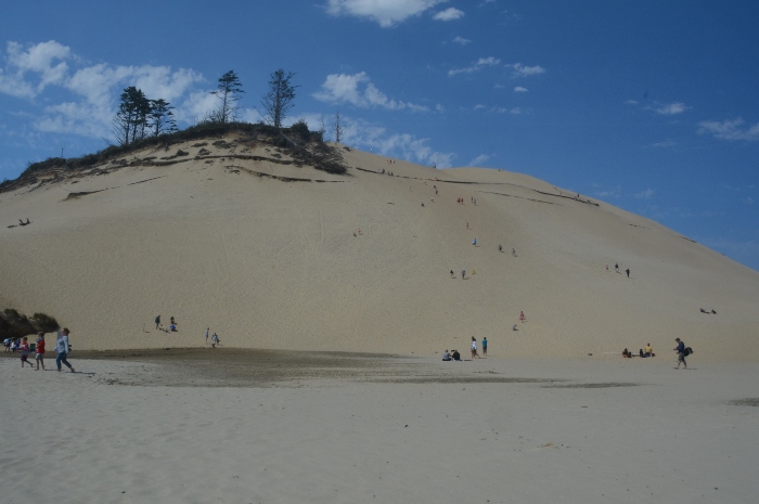 the giant sand dune at Cape Kiwanda, Pacific City